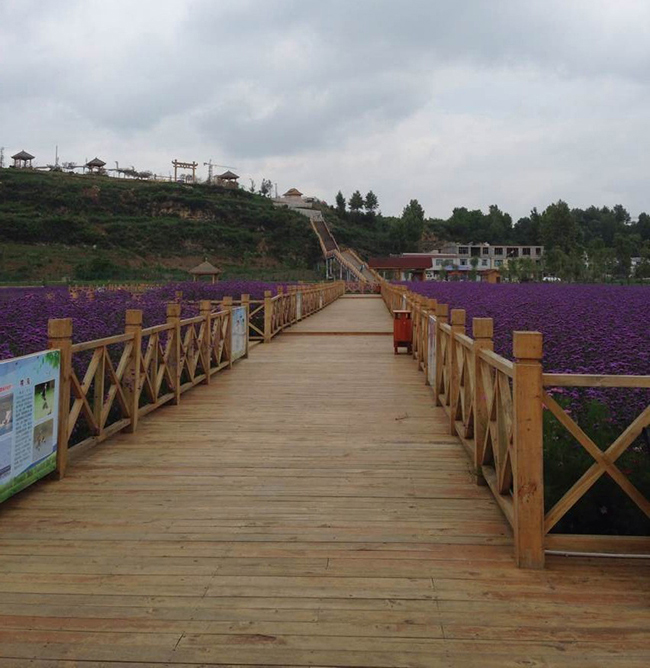 ľ�Ƴ���-��������ľ